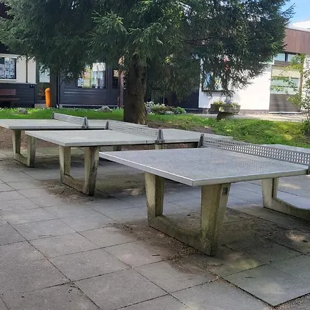 Berghoehe Hahnenklee Appartement